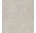 Плитка Landscape Cenere Silktech Rt - 60x60 EJRM Landscape з колекції Landscape Emil Ceramica