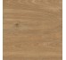 Плитка (60x60) 52PT85R Patagonia 20Mm Castano - Patagonia з колекції Patagonia Grespania