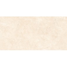 RAPOLANO NATURAL MATT 60х120 (плитка для підлоги і стін) RAPOLANO NATURAL MATT 60х120 (плитка для підлоги і стін)