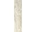 Плитка Invictus Beige - 7.3x29.6 CSAINBE730 Invictus з колекції Invictus Santagostino
