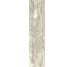 Плитка Invictus Beige - 7.3x29.6 CSAINBE730 Invictus з колекції Invictus Santagostino