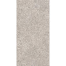 Unionstone 2 Cedre Grey - 60x120 CSACEDGR60 Unionstone 2 з колекції Unionstone 2 Unionstone 2 Керамическая плитка SANTAGOSTINO