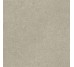 Плитка HWD 11 Greige Rett - 120x120 GRWD11R Wild з колекції Wild Del Conca