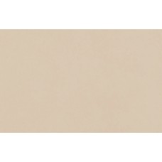 Peach - 27x42 R2786 Mellow из коллекции Mellow Mellow Керамическая плитка Aleluia