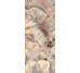 Плитка - 120x280 Onigem Mocha A Opalescent 6 мм Onigem з колекції Onigem Sicis
