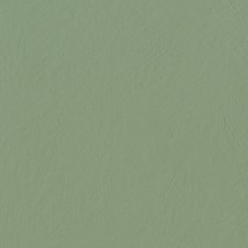 Green Guru - 60x60 1075313 Chromagic з колекції Chromagic Chromagic