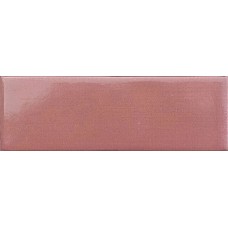 Mini Coral Glossy - 5x15 515SEMICOGL Mini з колекції Mini