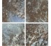 Плитка Coral Bay 15x15 Ocean Gres De Aragon из коллекции Ocean Gres De Aragon