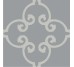 Плитка (20x20) Iron Grigio Q - BDS з колекції BDS Bisazza