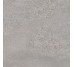 Плитка 60x60 Nickel R - Mold - MX68 з колекції Mold Refin