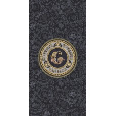 Декор ICONS VIR GAL BLACK R - 60x120 G0028345 Icons из коллекции Icons Icons Керамическая плитка Versace — страница 2