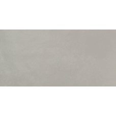 30x60 Luna Grey-Liv'in-R3743 из коллекции Liv'in LIV'IN Керамическая плитка Aleluia