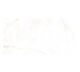 DUAL WHITE NT/60X120X0,9/C/R (1 сорт)