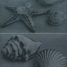 Декор (60x59.8) 50027- Decorosealifeblacka+Brettificato - Zen Sation з колекції Zen Sation Декор (60x59.8) 50027- Decorosealifeblacka+Brettificato - Zen Sation з колекції Zen Sation