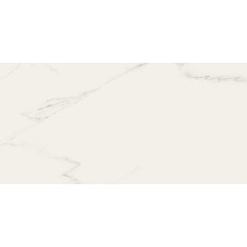 (40x80) 00228 Carrara Lev/Ret - Marmi Reali з колекції Marmi Reali