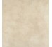 Плитка 59,2x59,2 Camel-Portland-PT11P з колекції Portland Aleluia
