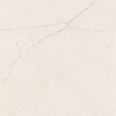 60 * 60 Velhira White Pol.