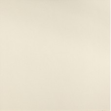 (120x120) Pudn01 Neutral Rett. Bianco - Dechirer з колекції Dechirer (120x120) Pudn01 Neutral Rett. Bianco - Dechirer з колекції Dechirer Dechirer Керамічна плитка Mutina