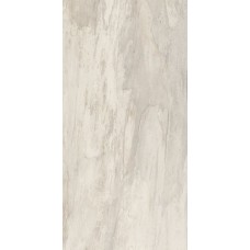 ректиф. (45х90) PETRIFIED TREE WHITE BARK 944D0R з колекції Petrified Tree Emilceramica ректиф. (45х90) PETRIFIED TREE WHITE BARK 944D0R з колекції Petrified Tree Emilceramica Petrified Tree Керамічна плитка Emil Ceramica — сторінка 2
