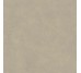 Плитка 60x60 Omni Platina Soft-Omni-31261386U1 из коллекции Omni Revigres