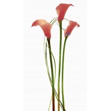 Декор (120x70) Decor Achille-4 - Scala из коллекции Scala Декор (120x70) Decor Achille-4 - Scala из коллекции Scala Scala Керамическая плитка Novogres