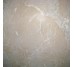 Плитка Beige 60x60 Constanza Cristacer з колекції Constanza Cristacer