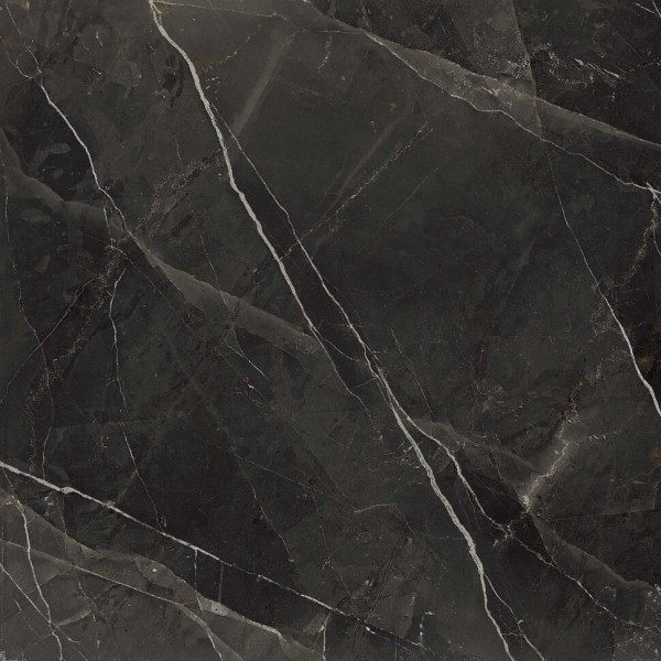 Плитка Am 2 Calacatta Black Soft Ret - 120x120 99935 Archimarble 2 з колекції Archimarble 2 Cerdisa