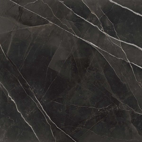 Плитка Am 2 Calacatta Black Soft Ret - 120x120 99935 Archimarble 2 з колекції Archimarble 2 Cerdisa