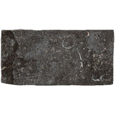 10x20 Rue D. S. Cloud Graphite - Rue de St. Cloud - RUE777 з колекції Rue de St. Cloud Ascot RUE DE ST. CLOUD Керамічна плитка Ascot Ceramiche — сторінка 2