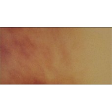 14,8x30 Jesienny List (16606) з колекції Jesienny List 14,8x30 Jesienny List (16606) з колекції Jesienny List