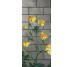 Мозаїка (290.5x129.1) Ranunculus B - Decori in Tecnica Artistica з колекції Decori in Tecnica Artistica Bisazza