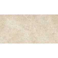 60x120 R9KL Argent Sabbia PtvRt Realstone Argent з колекції Realstone_Argent