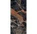 Плитка 60x120 Les Bijoux Ombre De Caravage Matte - Les Bijoux de Rex - 765774 з колекції Les Bijoux de Rex Rex