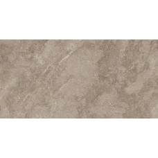 45x90 Titanium Brown Titanium з колекції Titanium 45x90 Titanium Brown Titanium з колекції Titanium TITANIUM Керамічна плитка Cristacer