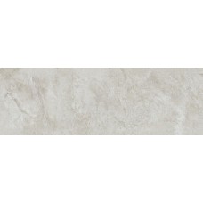 Silver 50x150 Mirage з колекції Mirage Mirage Керамічна плитка Venis