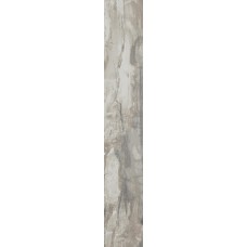 (16x99.5) PO1640RL Petrified Wood Grey Rett/Lapp - Petrified Wood з колекції Petrified Wood Ascot