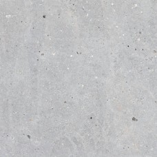 MESSEL SILVER 66x66 (для пола и стен) MESSEL SILVER 66x66 (для пола и стен)