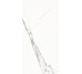 Плитка (120x60) P612516 Statuario Classico Soft - Marmi Classici з колекції Marmi Classici Ariostea