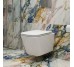 DFL0520111W Flow square Подвесной безобедочный унитаз с крышкой soft-close, Vortex Flush, белый глянец (1 сорт)