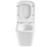 DFL0520111W Flow square Подвесной безобедочный унитаз с крышкой soft-close, Vortex Flush, белый глянец (1 сорт)