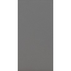 (30x60) ABI3 S. Dark Grey Rt - Solid Colors з колекції Solid Colors Solid Colors Керамічна плитка Caesar