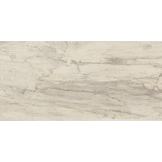 (30x60) 634D0R White Bark Rett L - Petrified Tree з колекції Petrified Tree Emilceramica (30x60) 634D0R White Bark Rett L - Petrified Tree з колекції Petrified Tree Emilceramica Petrified Tree Керамічна плитка Emil Ceramica — сторінка 2