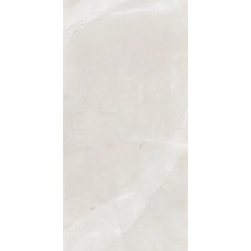 59.5x119.2 CC5000008 Extra Pulpis Grey Ascot Extra з колекції Extra Ascot ?xtra Ascot