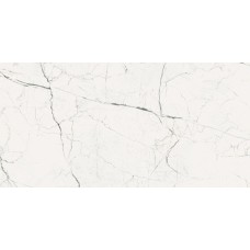 ARCADIA TECNO BIANCO 60X120 POLISHED з колекції Arcadia Arcadia