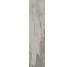 Плитка (24.3x99.5) PO2540RL Petrified Wood Grey Rett/Lapp - Petrified Wood з колекції Petrified Wood Ascot