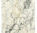 Плитка HPM 10 Shine Rett Paonazzo - 120x120 GRPM10S Premiere з колекції Premiere Del Conca