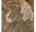 VOLCANE BROWN (1 сорт)