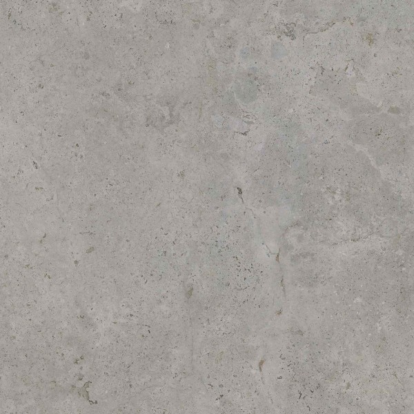 CAMPER GREY 120x120 (плитка для підлоги і стін)