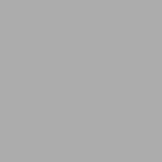 BASIC SILVER 25x25 (для підлоги і стін) BASIC SILVER 25x25 (для підлоги і стін)