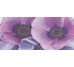 Декор (27х60) DECOR SANSHA з колекції Axel Novogres